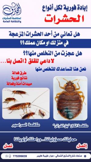 #مكافحة_الحشرات_في_صنعاء #مكافحة_بق_الفراش_في_صنعاء #مكافحة_الكتن_في_صنعاء