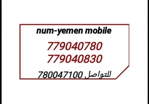 ارقام مميزه