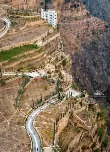 تعز